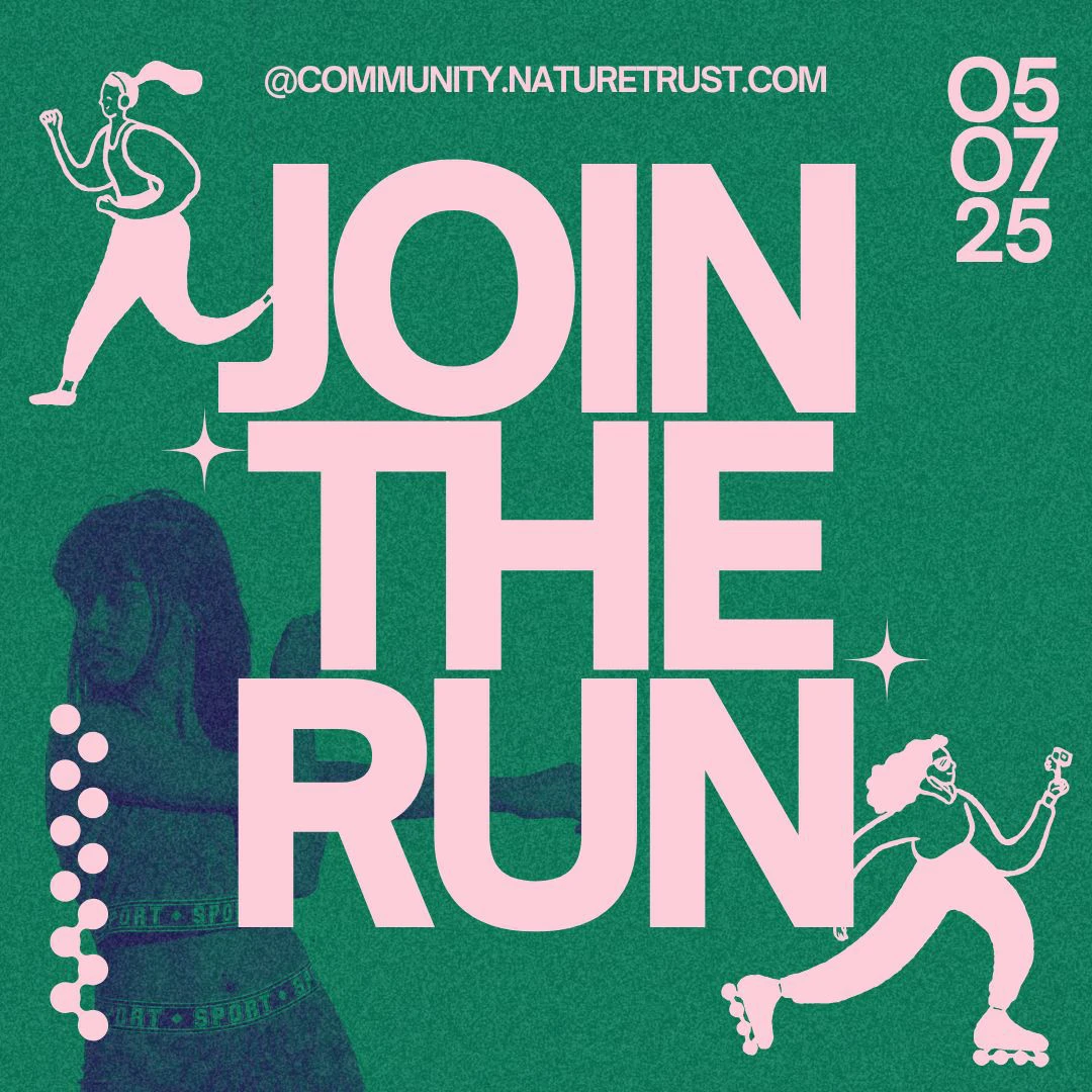 fun run